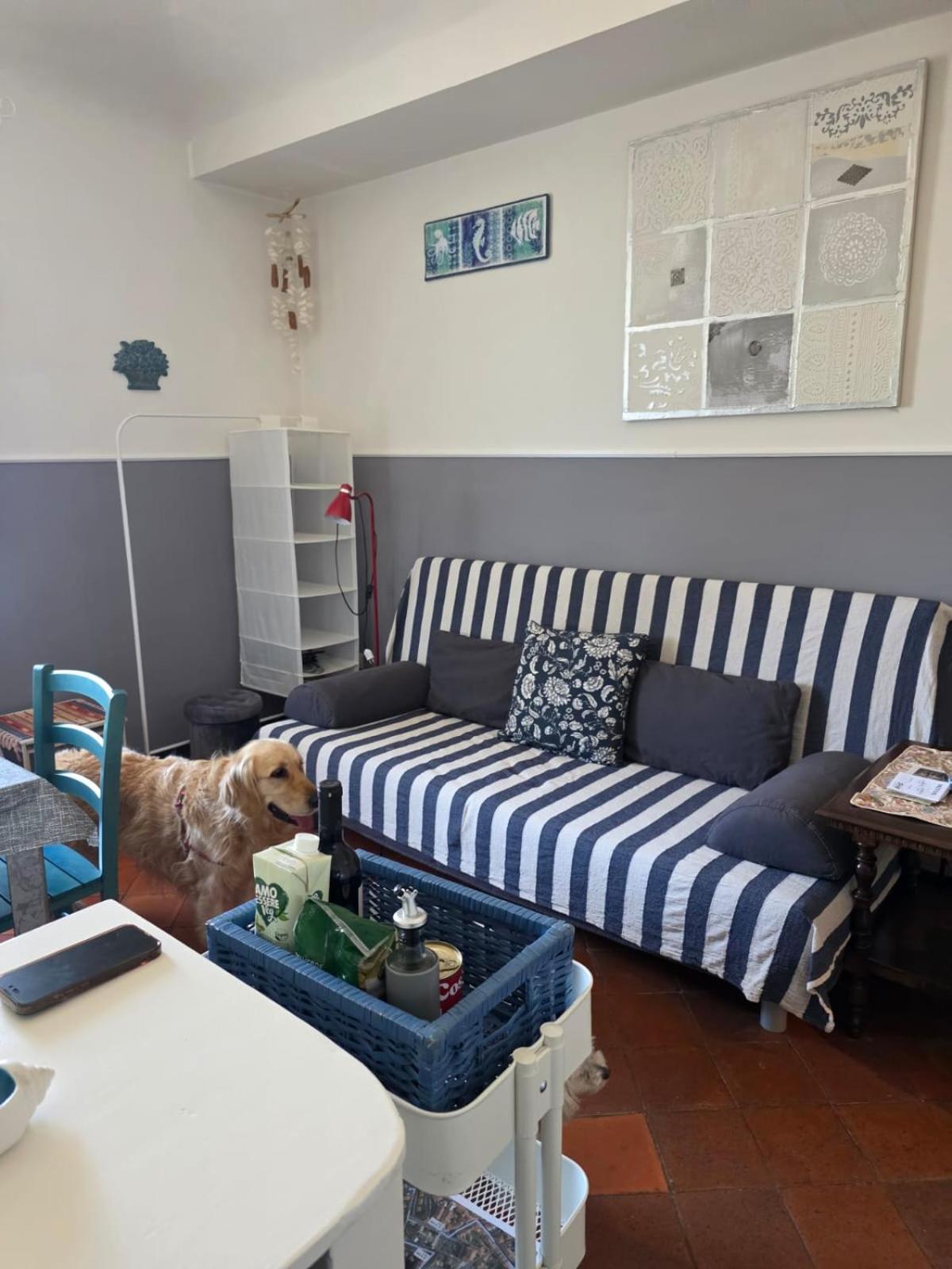 The Shell - New Interior Look But Same Old Charme 200Mt From The Sea With Garden And Parking Nearby Imperia Exterior foto